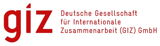Logo GIZ