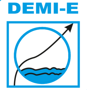 ONG DEMI-E